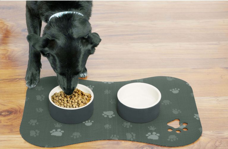 Best Dog Feeding Mat